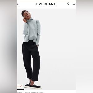 Everlane Put-Together Pleat Pant